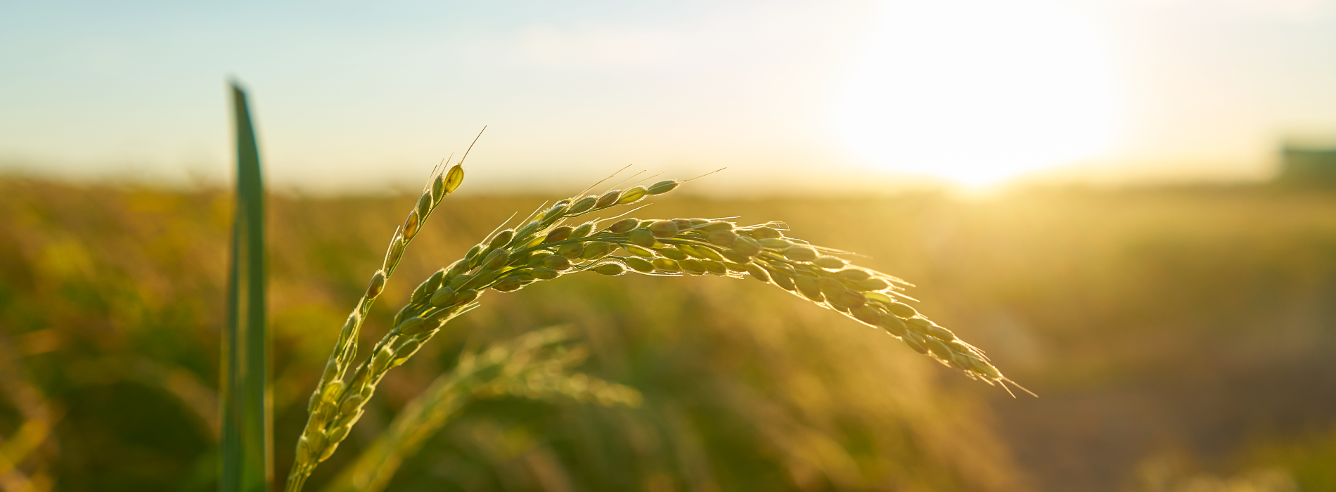 platform kinetics agriculture technology